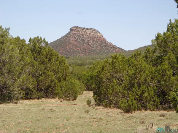 $199,000 | 2 B Camino Del Sol Road, Serafina, NM 87569