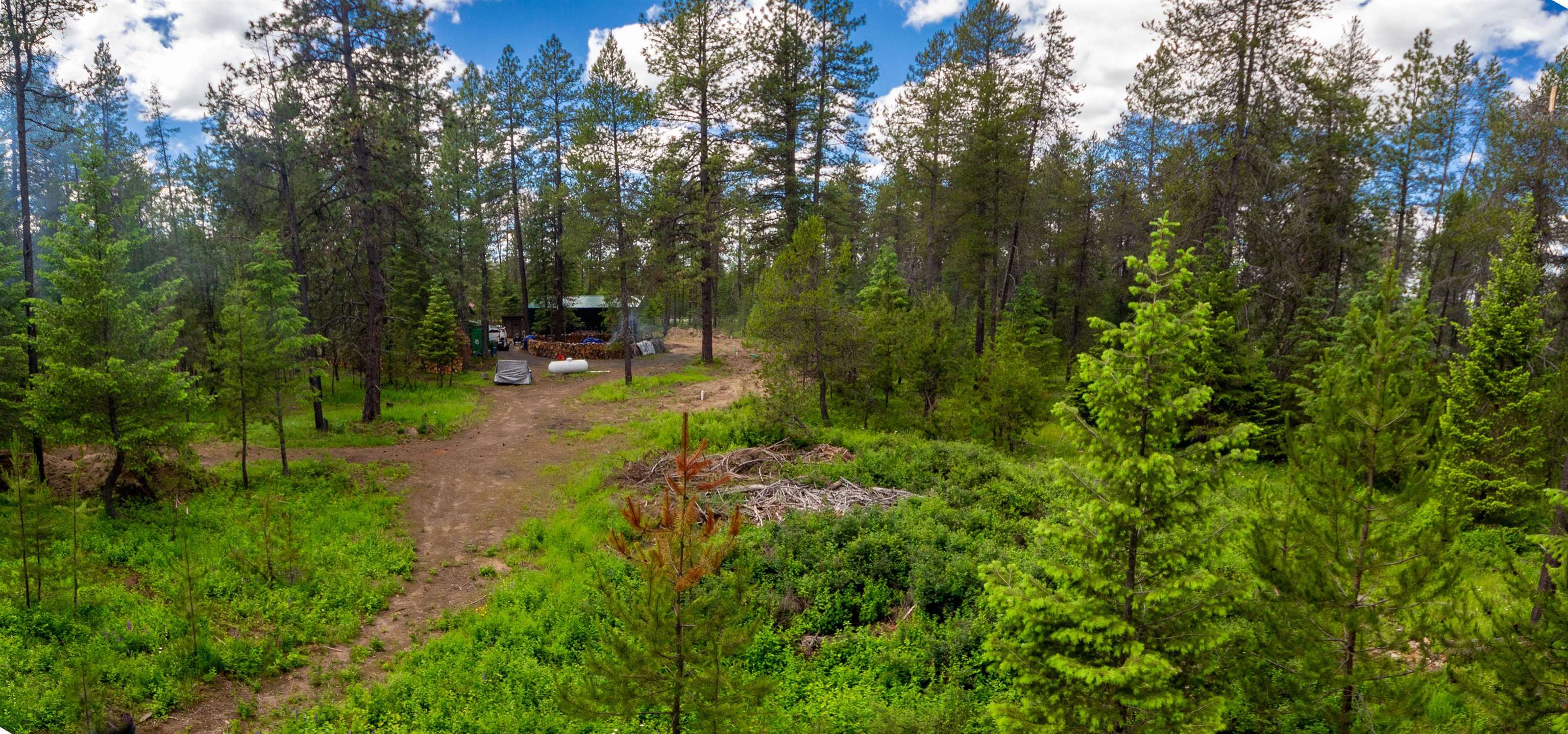 36605 North Muehle Road Elk, WA 99009 - Photo 1 of 37 Gallery Image 1