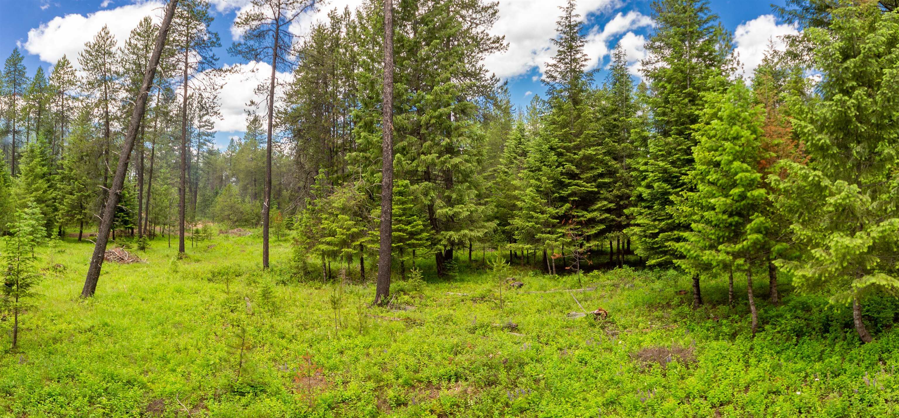 36605 North Muehle Road Elk, WA 99009 - Photo 16 of 37 Gallery Image 16