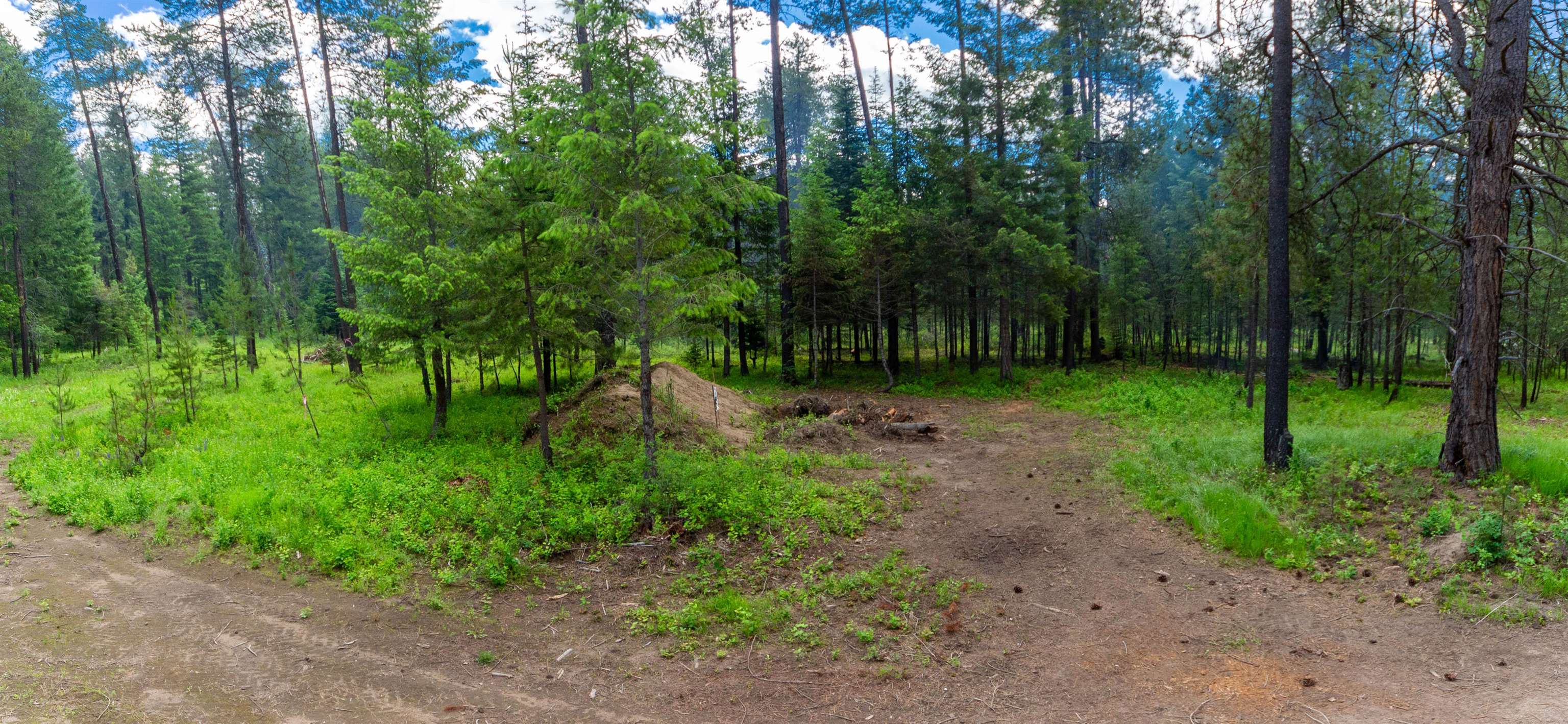 36605 North Muehle Road Elk, WA 99009 - Photo 10 of 37 Gallery Image 10