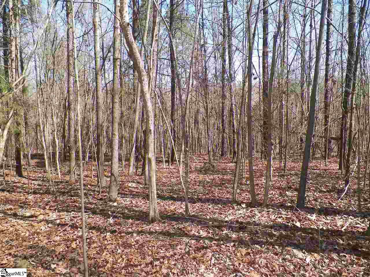 192 Viewpoint Court Laurens, SC 29360 - Photo 2 of 12 Gallery Image 2