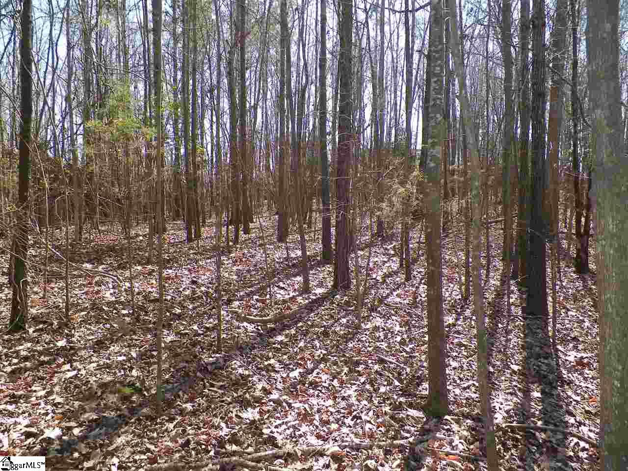 192 Viewpoint Court Laurens, SC 29360 - Photo 3 of 12 Gallery Image 3