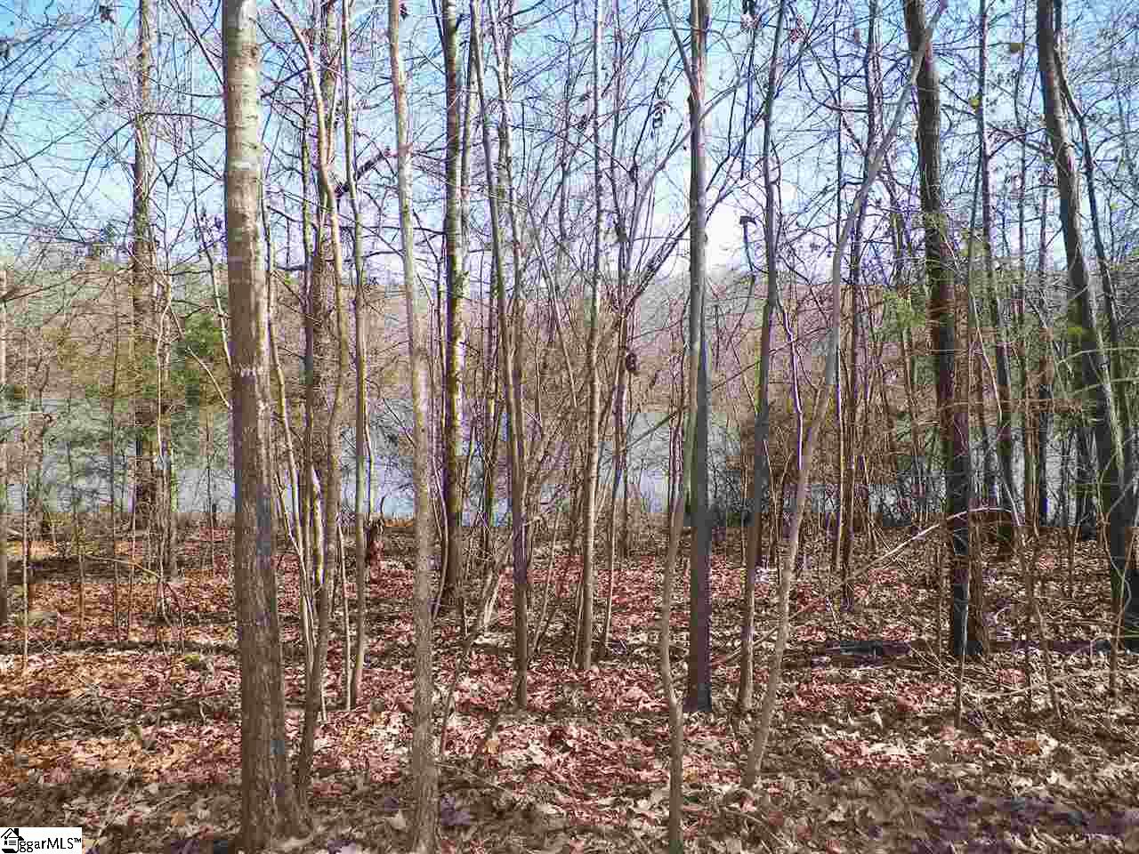 192 Viewpoint Court Laurens, SC 29360 - Photo 5 of 12 Gallery Image 5