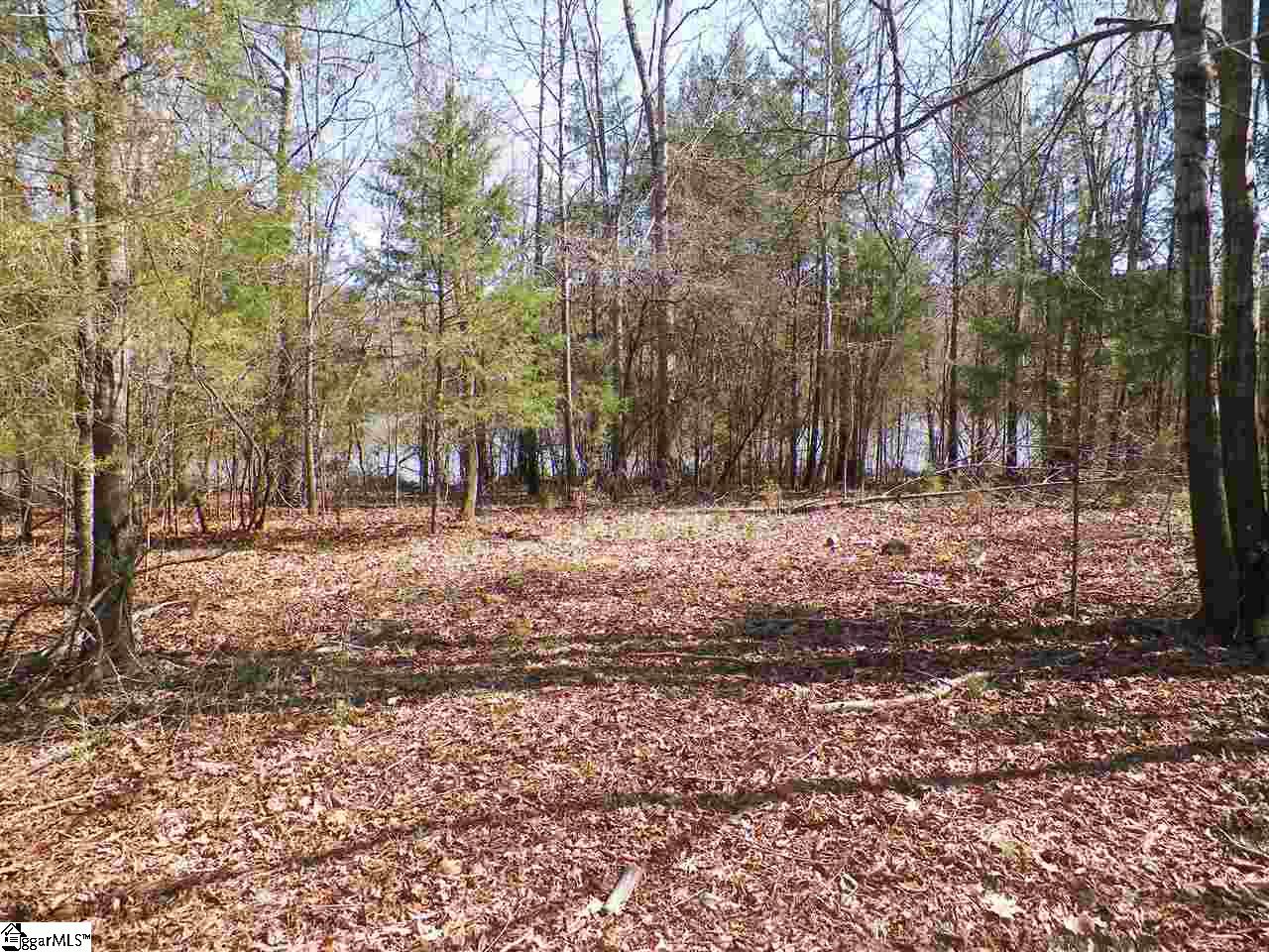 192 Viewpoint Court Laurens, SC 29360 - Photo 6 of 12 Gallery Image 6