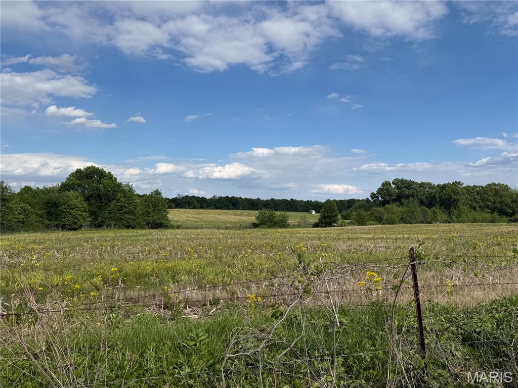 0 Cemetery Road Wellsville, MO 63384 - Photo 2 of 5