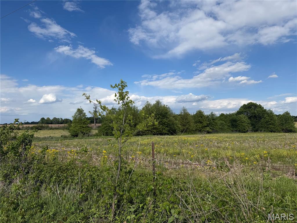 0 Cemetery Road Wellsville, MO 63384 - Photo 4 of 5
