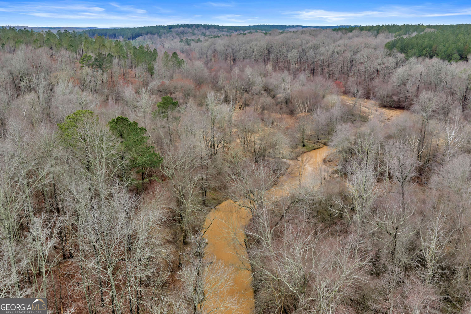 10 Lexington Estates Stephens, GA 30667 - Photo 15 of 43 a view of a forest with trees in the background