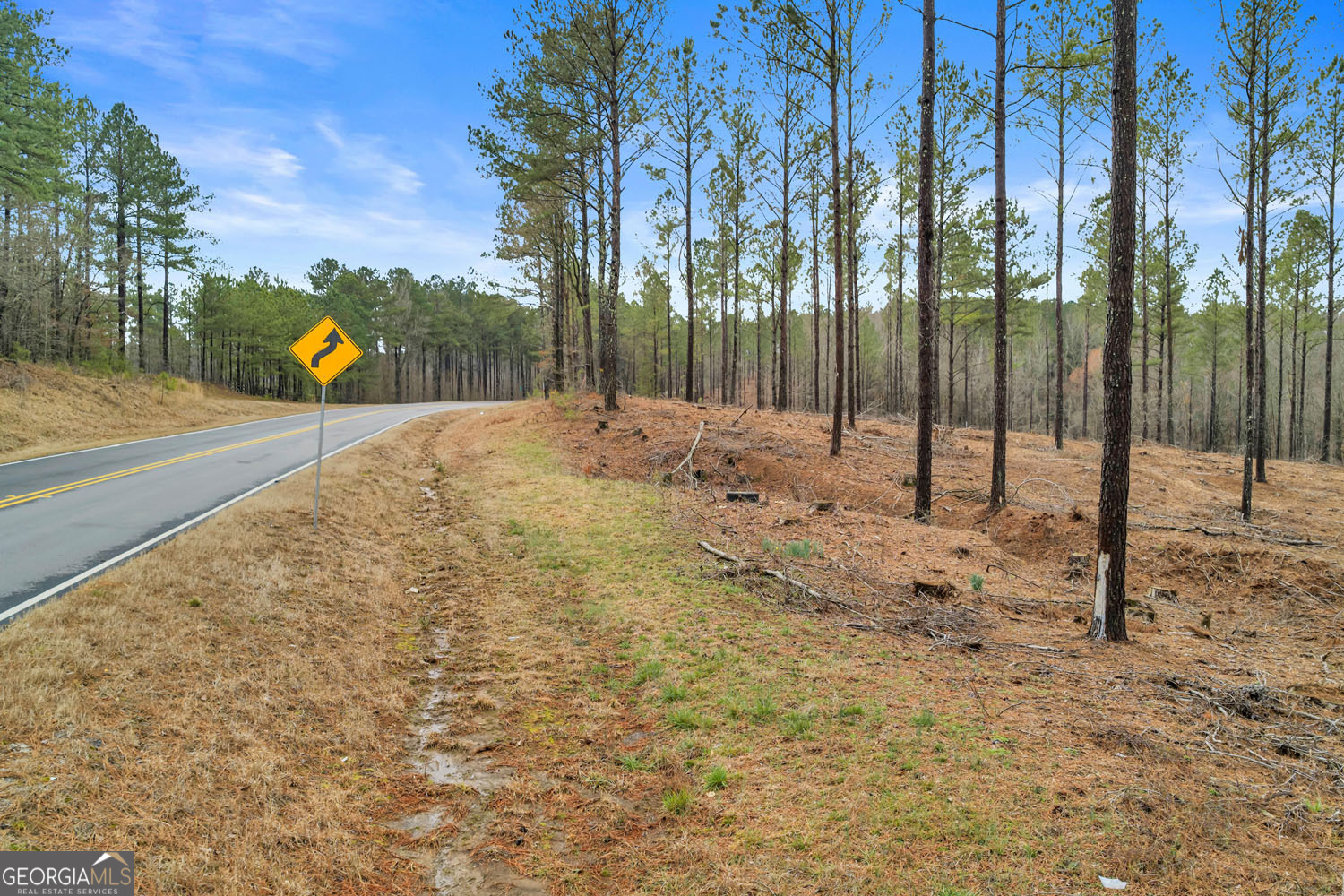 10 Lexington Estates Stephens, GA 30667 - Photo 16 of 43 a view of a park with swings