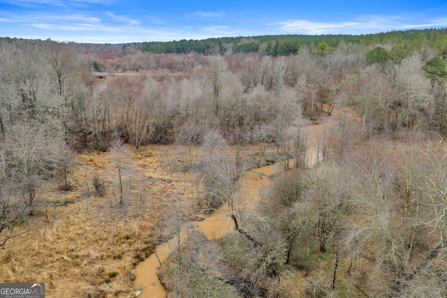10 Lexington Estates Stephens, GA 30667 - Photo 28 of 43 a view of a lake from a yard
