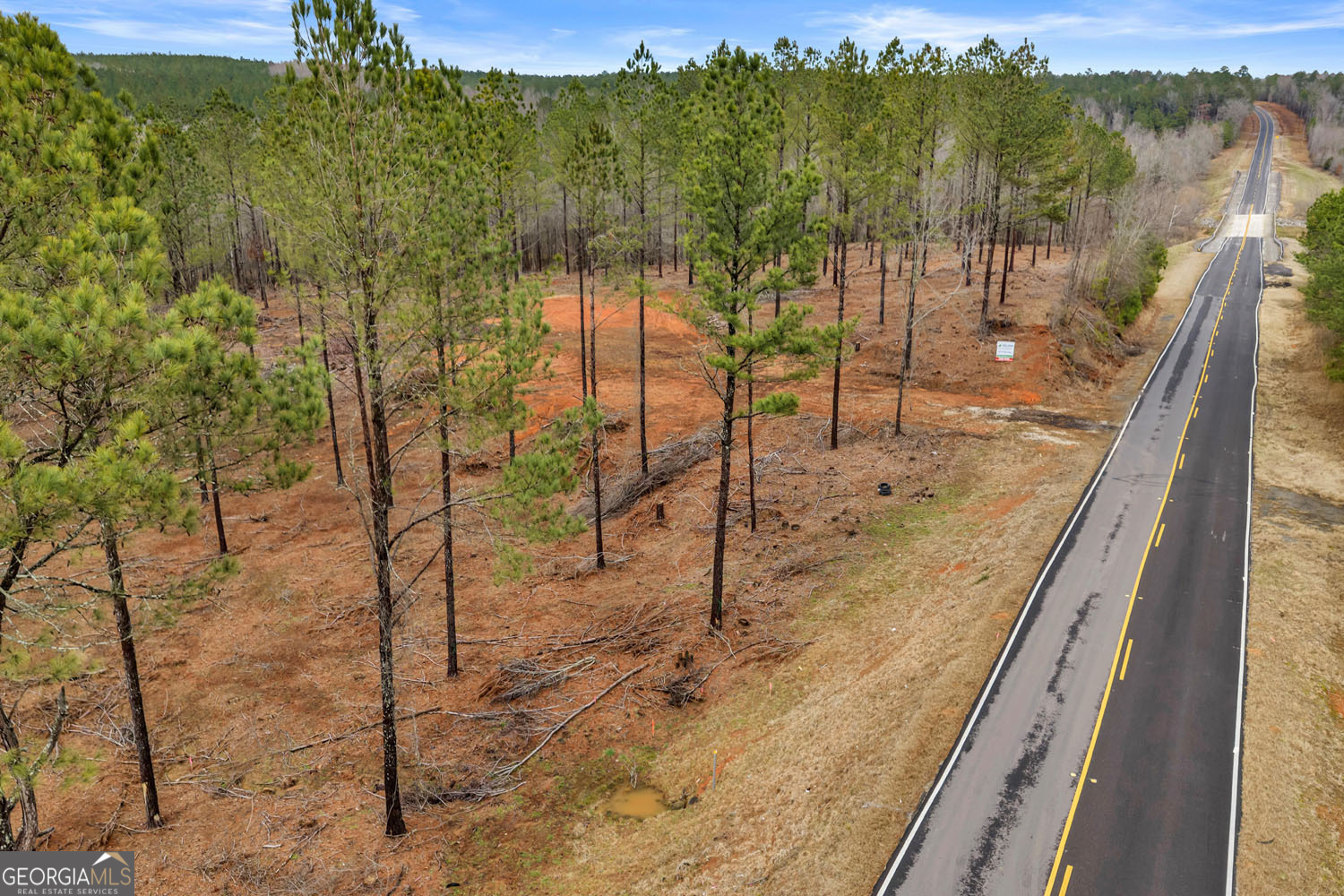 10 Lexington Estates Stephens, GA 30667 - Photo 38 of 43 a view of a forest with a lake