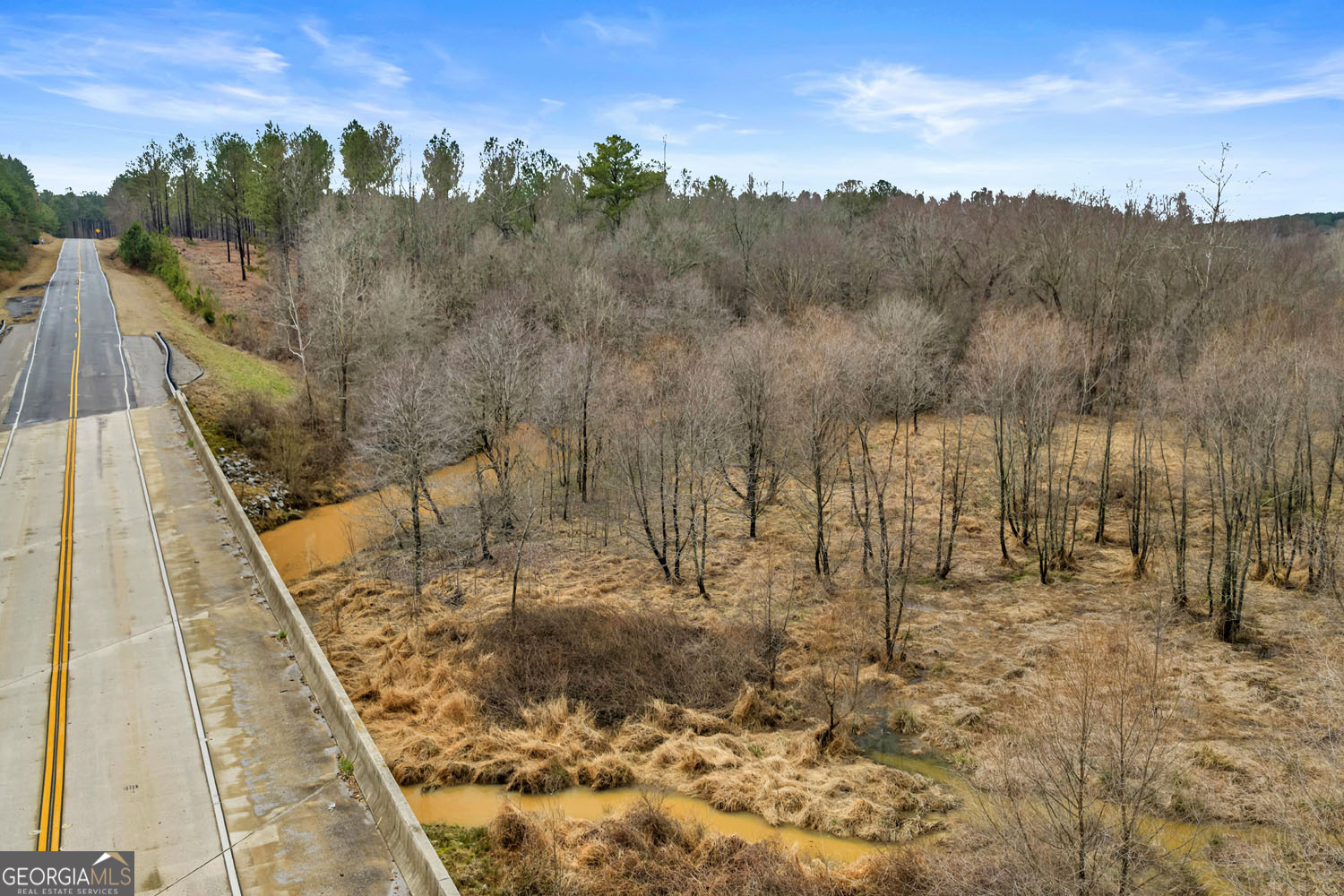10 Lexington Estates Stephens, GA 30667 - Photo 8 of 43 a view of a forest with a mountain