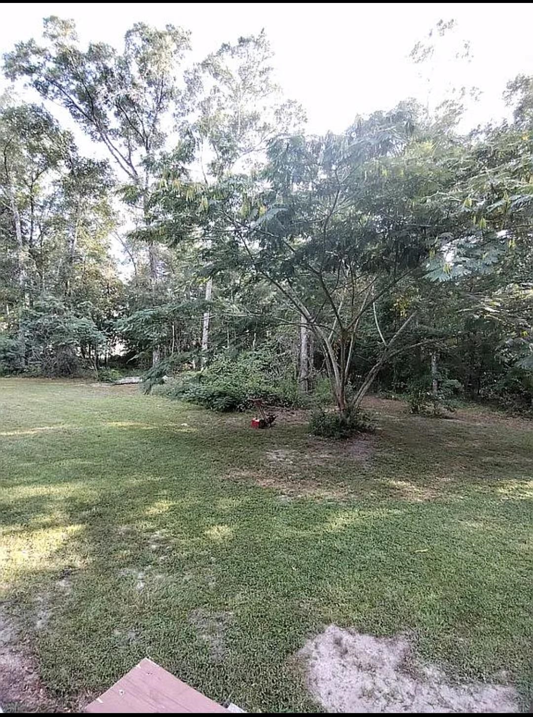 39 Indian Hills Road Monticello, FL 32344 - Photo 11 of 32 Gallery Image 11