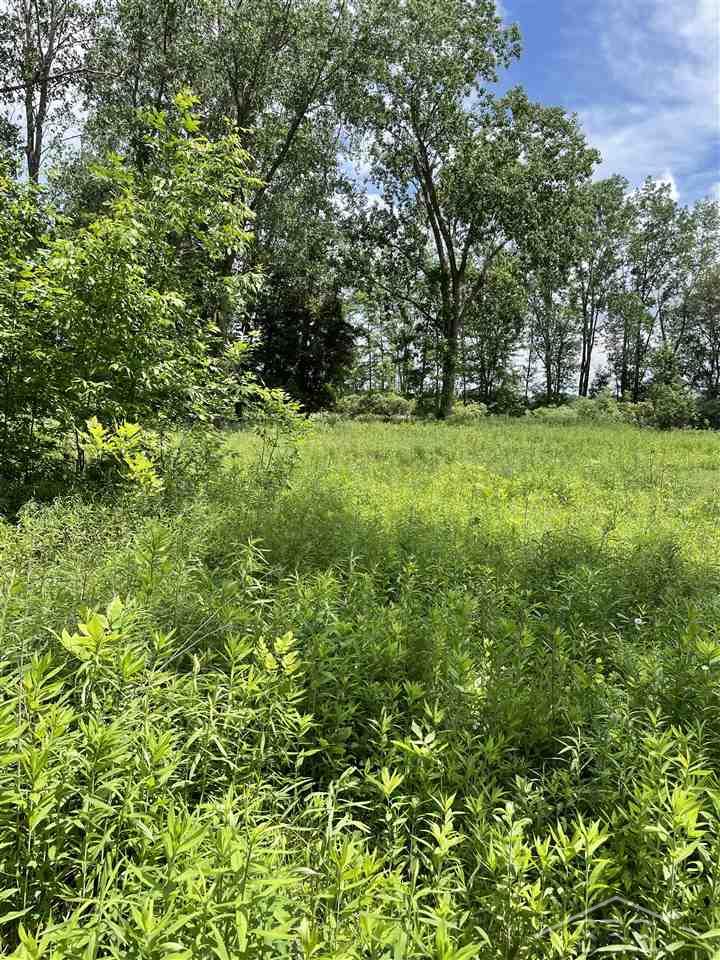 0 Webster Road Freeland, MI 48623 - Photo 3 of 5