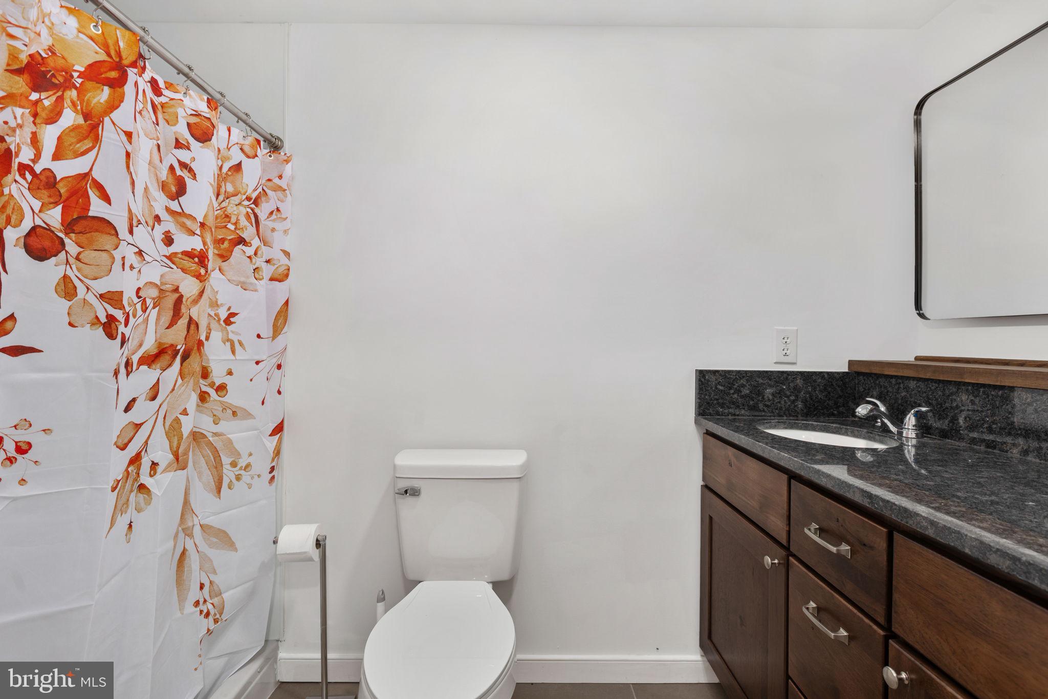871 Chapman Road Stanardsville, VA 22973 - Photo 23 of 32 LOWER LEVEL FULL BATH