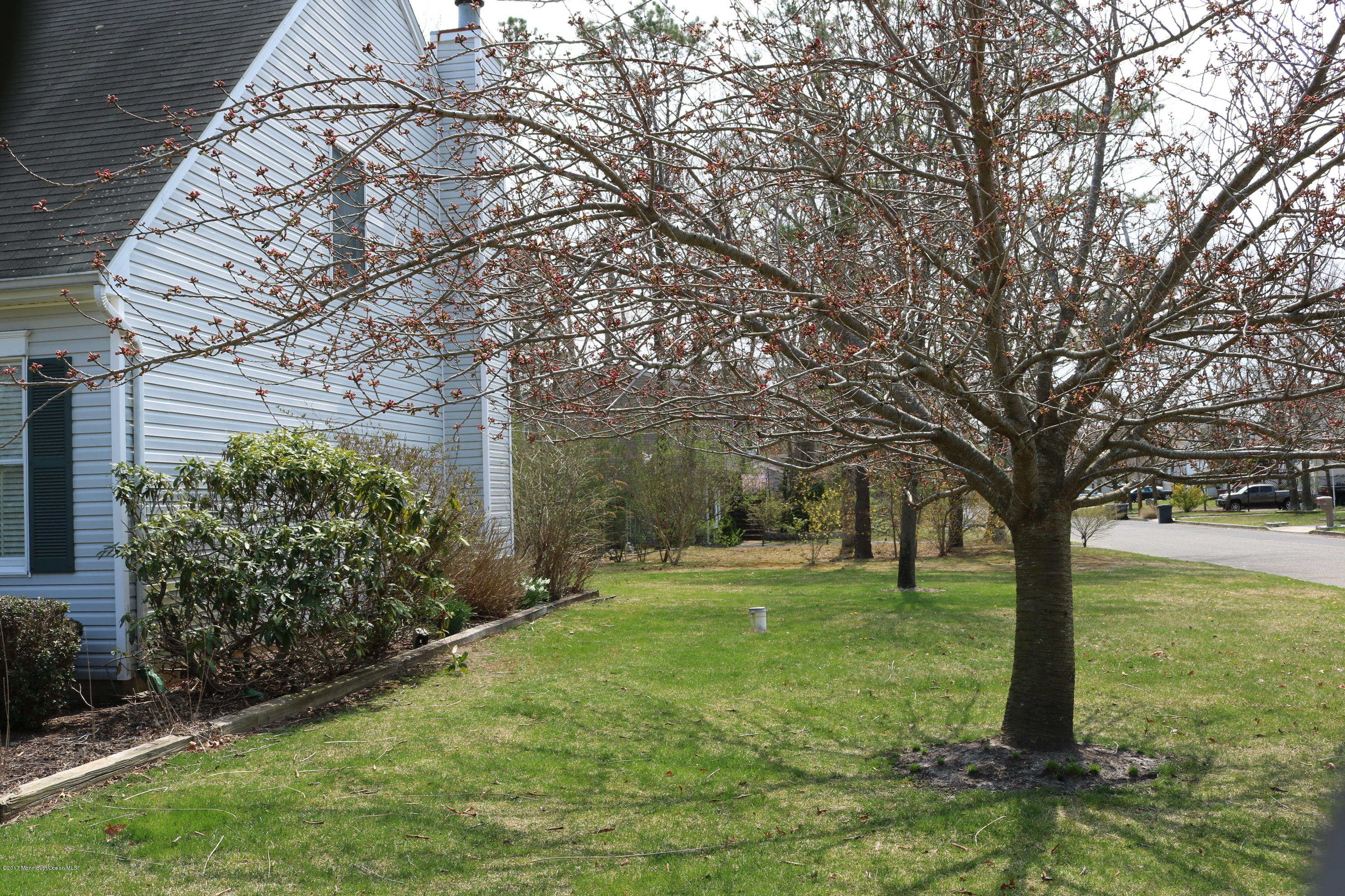 164 Equinox Road Manahawkin, NJ 08050 - Photo 35 of 35 a backyard of a house with lots of green space