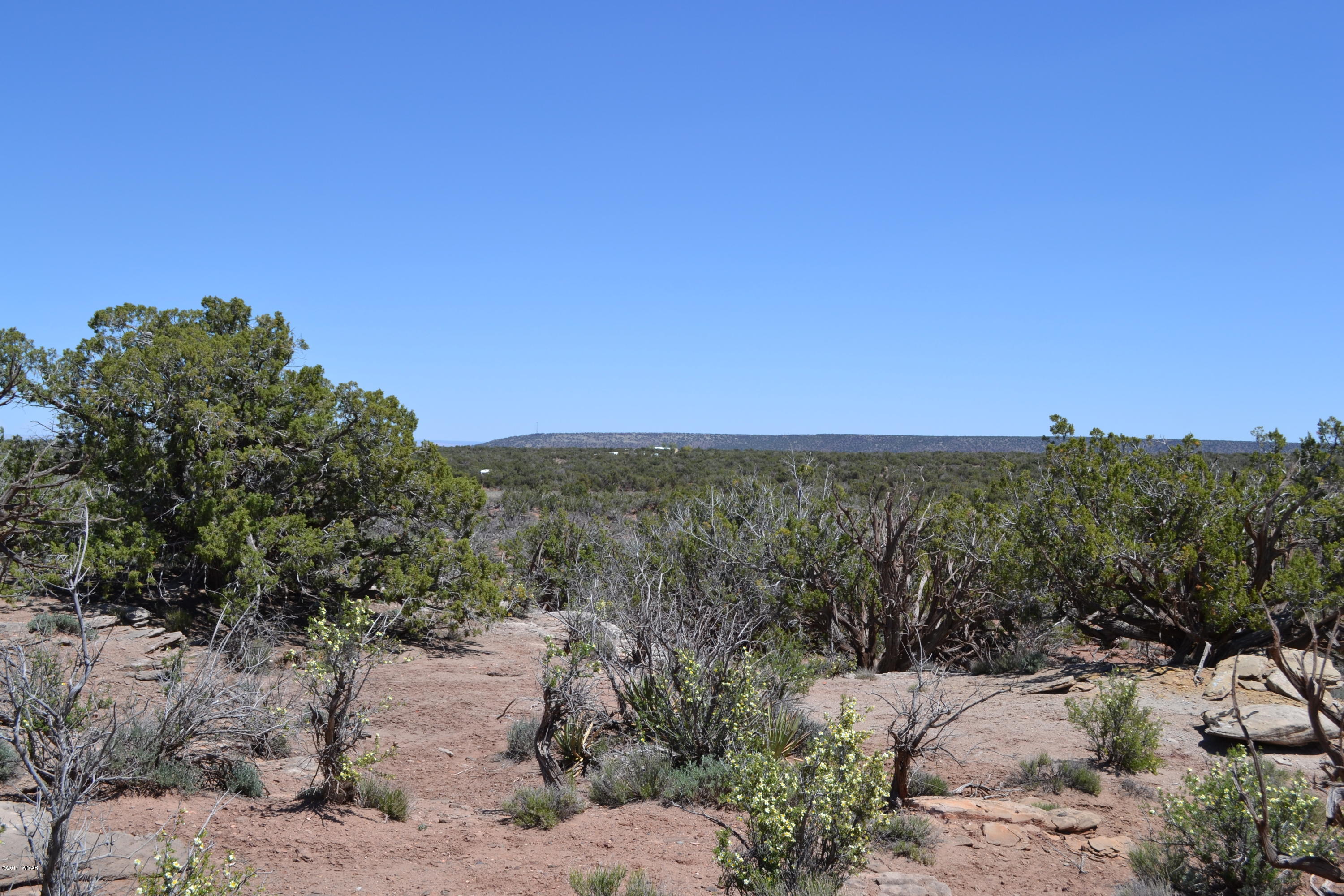 4137 Kohl Road Snowflake, AZ 85937 - Photo 1 of 19 a view of a dry yard with trees in the background