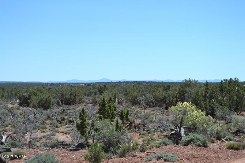 4137 Kohl Road Snowflake, AZ 85937 - Photo 11 of 19 a view of a covered with trees in the background