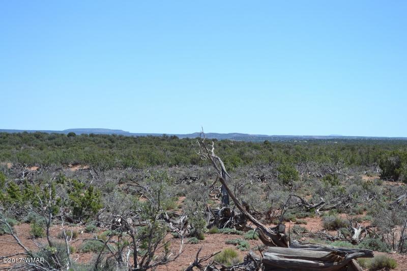 4137 Kohl Road Snowflake, AZ 85937 - Photo 12 of 19 a view of a city with lush green forest