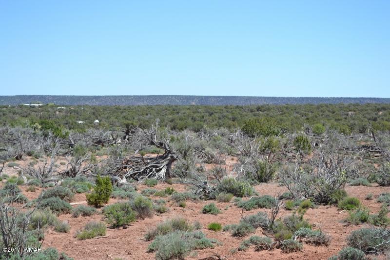 4137 Kohl Road Snowflake, AZ 85937 - Photo 13 of 19 a view of city with ocean
