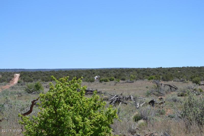 4137 Kohl Road Snowflake, AZ 85937 - Photo 14 of 19 a view of a field with trees in background