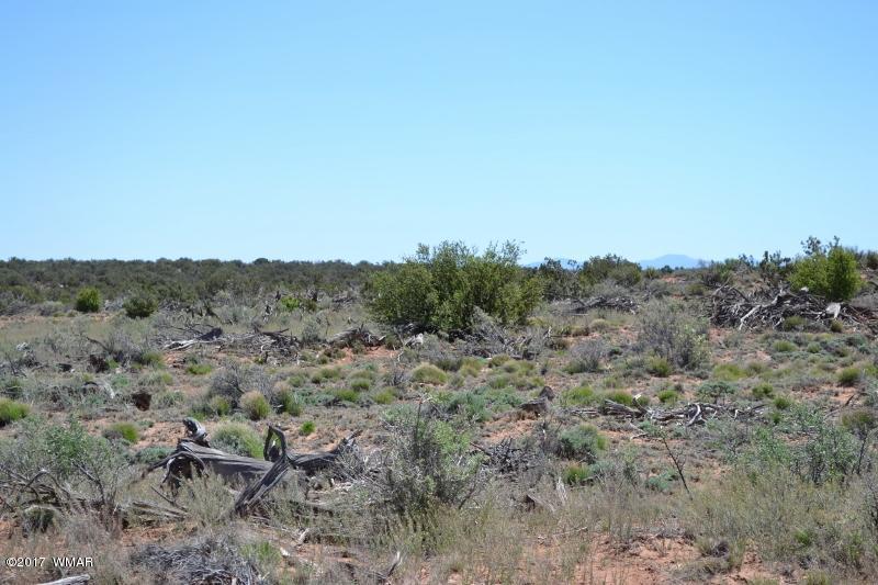 4137 Kohl Road Snowflake, AZ 85937 - Photo 15 of 19 a view of a city with lush green forest