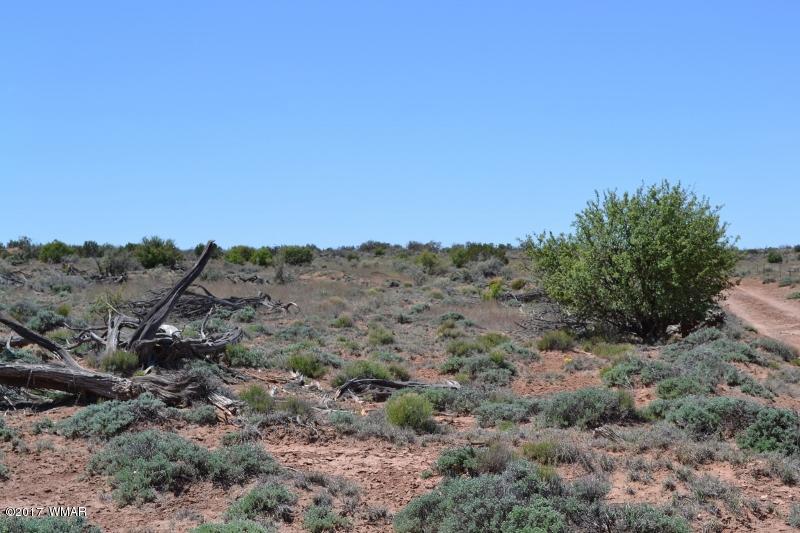 4137 Kohl Road Snowflake, AZ 85937 - Photo 16 of 19 a view of a dry field
