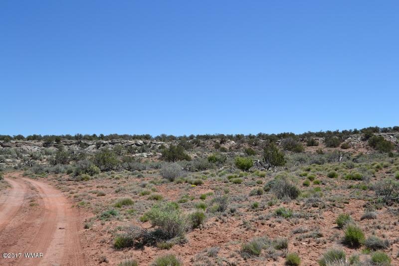 4137 Kohl Road Snowflake, AZ 85937 - Photo 3 of 19 a view of a large mountain with a forest in the background