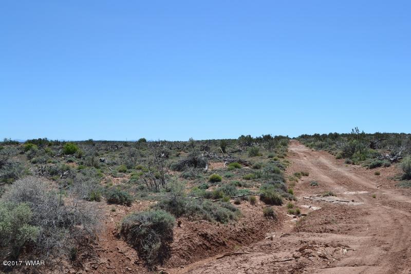 4137 Kohl Road Snowflake, AZ 85937 - Photo 5 of 19 a view of a dry field