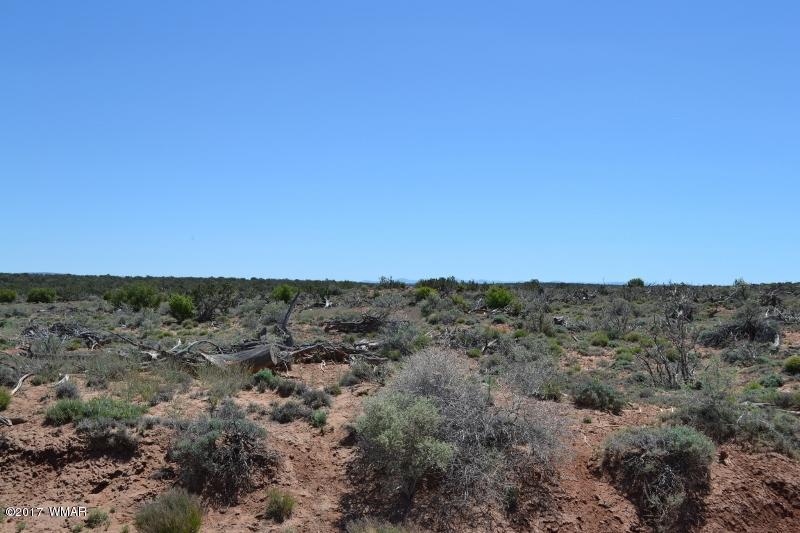 4137 Kohl Road Snowflake, AZ 85937 - Photo 6 of 19 a view of a city and mountains
