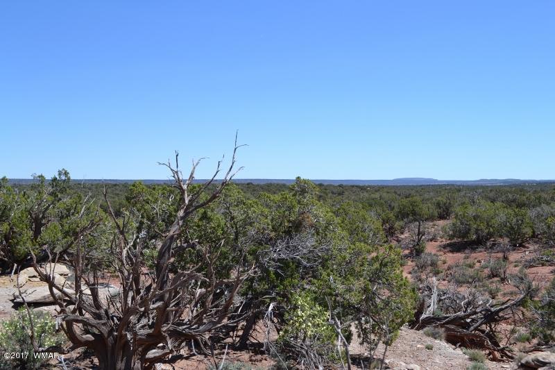 4137 Kohl Road Snowflake, AZ 85937 - Photo 7 of 19 a view of a field with lots of bushes