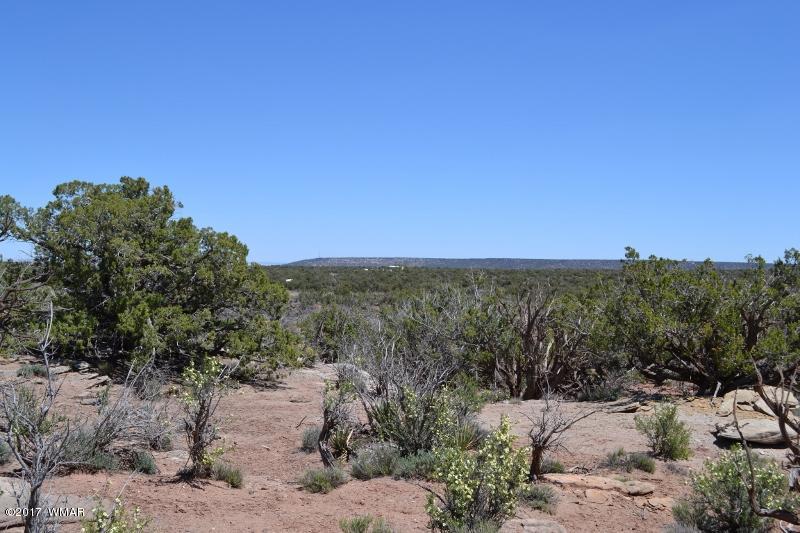 4137 Kohl Road Snowflake, AZ 85937 - Photo 8 of 19 a view of a dry yard with trees in the background