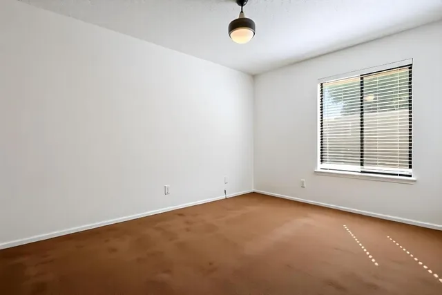 a view of backyard with barn and a large tree