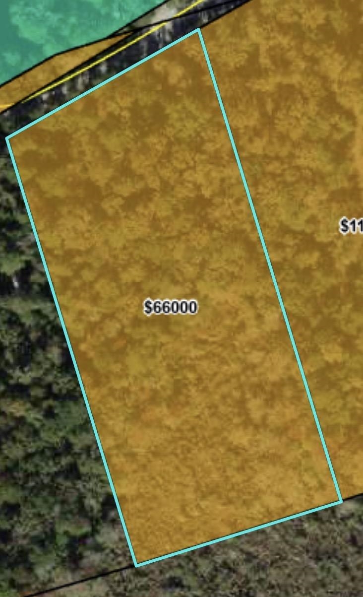 Xxx J K Moore Road Crawfordville, FL 32327 - Photo 2 of 4