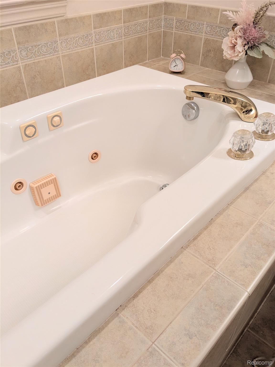 23233 30 Mile Road Ray, MI 48096 - Photo 26 of 73 Primary Bathroom with Jetted Tub