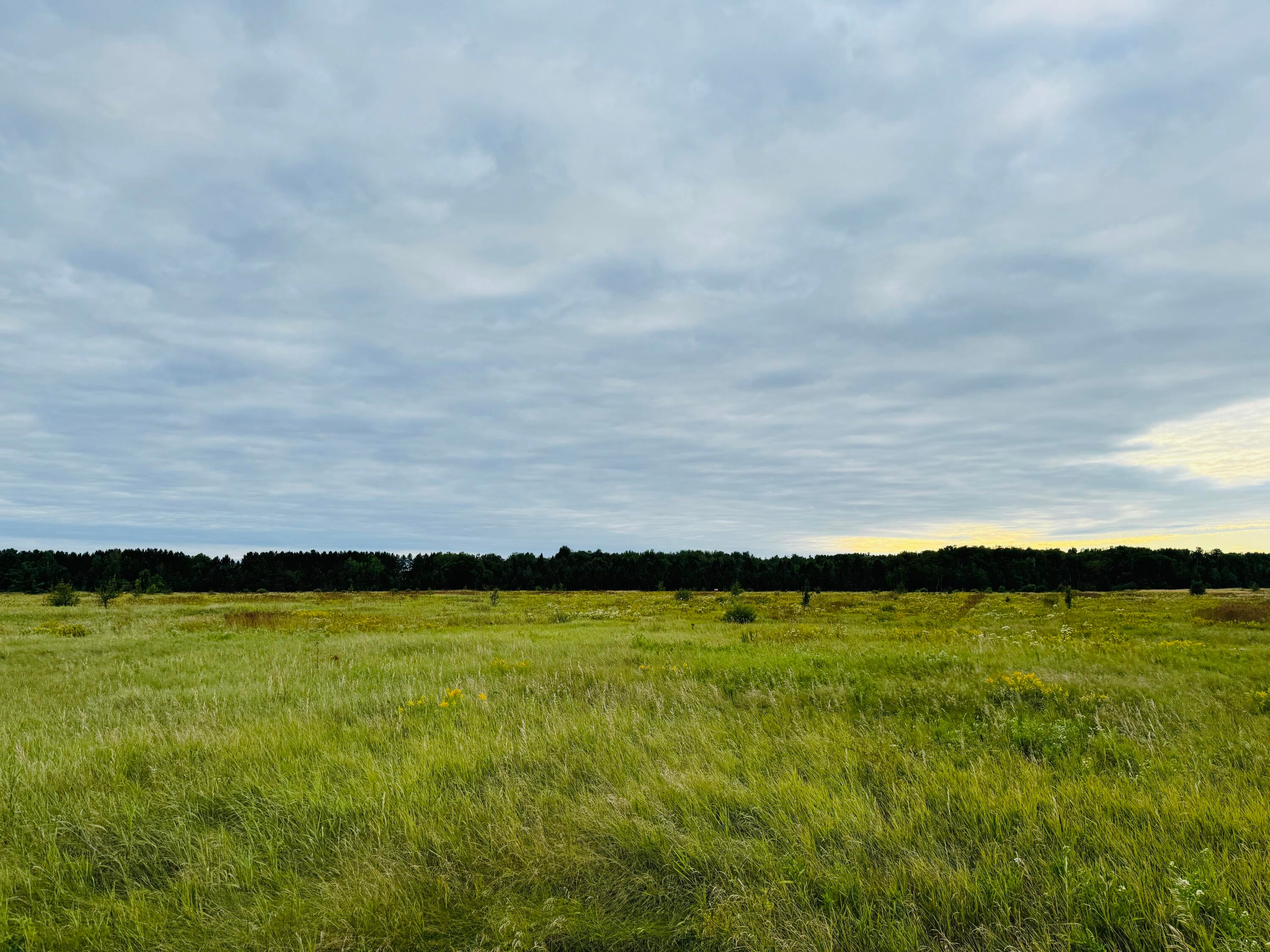 0 South Ridge Road Sault Ste. Marie, MI 49783 - Photo 5 of 10 Gallery Image 5