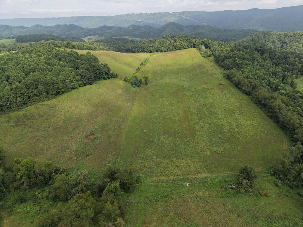 458 Shale Bank Road Marion, VA 24354 - Photo 20 of 115 Gallery Image 20