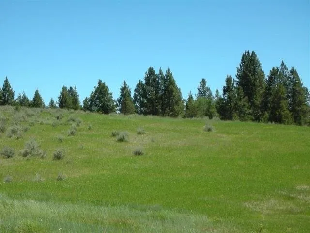$265,900 | Lot 7 Empty Saddle Way, Unit 7, Donnelly, ID 83615