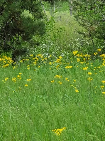 $265,900 | Lot 7 Empty Saddle Way, Unit 7, Donnelly, ID 83615