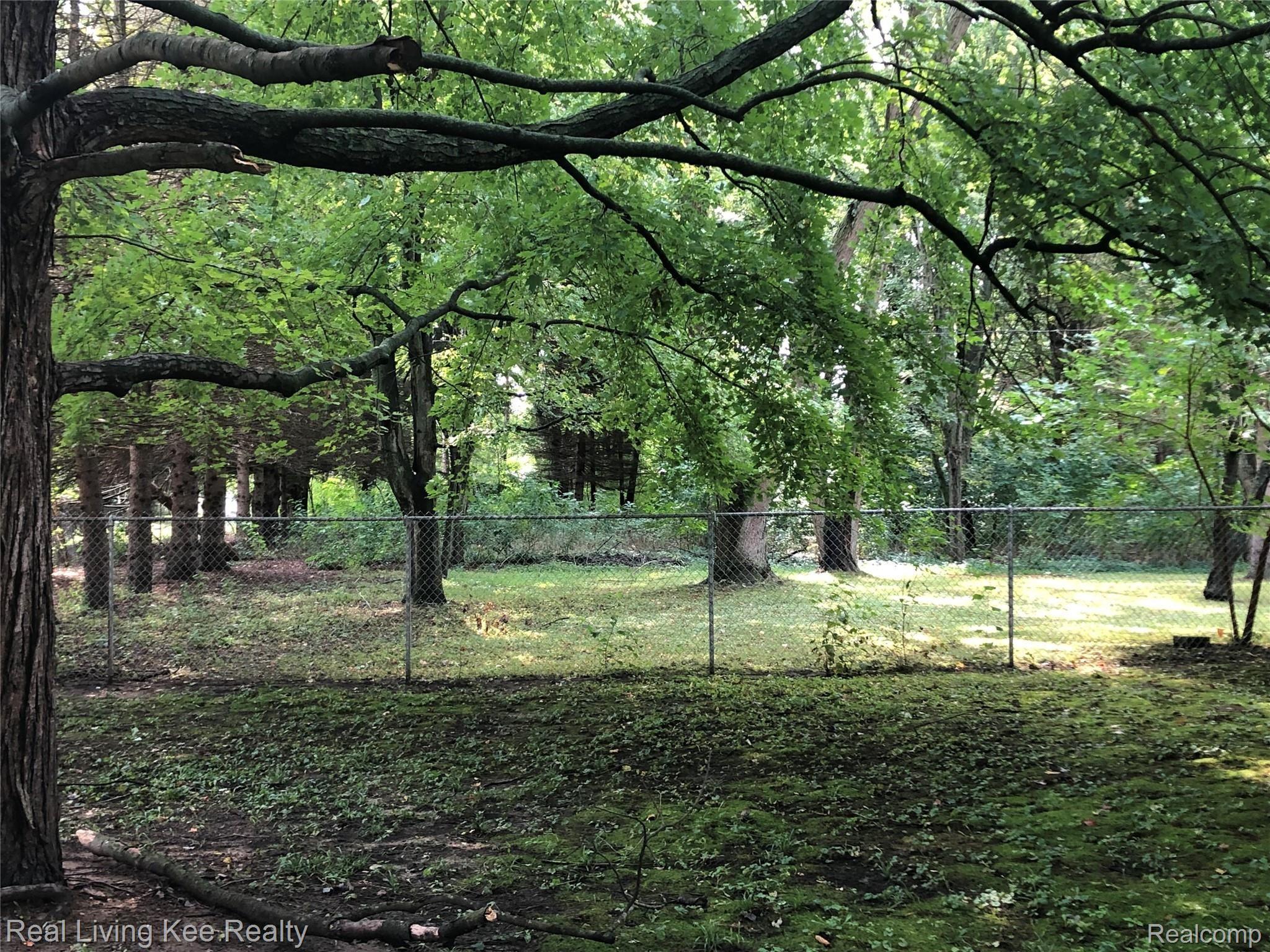 4487 Atkins Road Port Huron, MI 48060 - Photo 2 of 3 4487 Atkins Rd side and rear yard.jpg