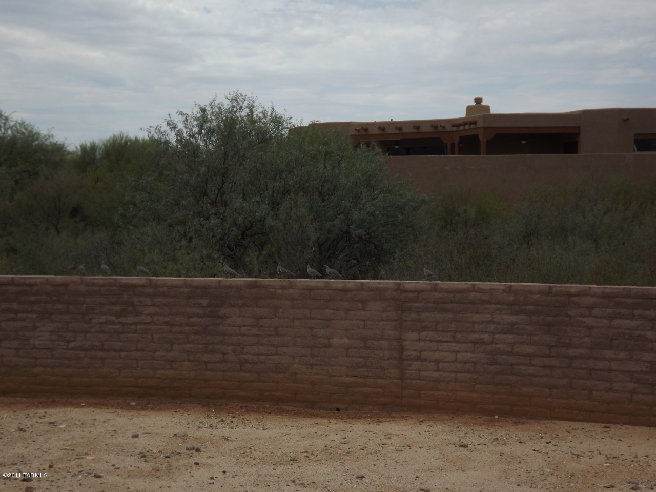 863 West Moore Road Tucson, AZ 85755 - Photo 31 of 34
