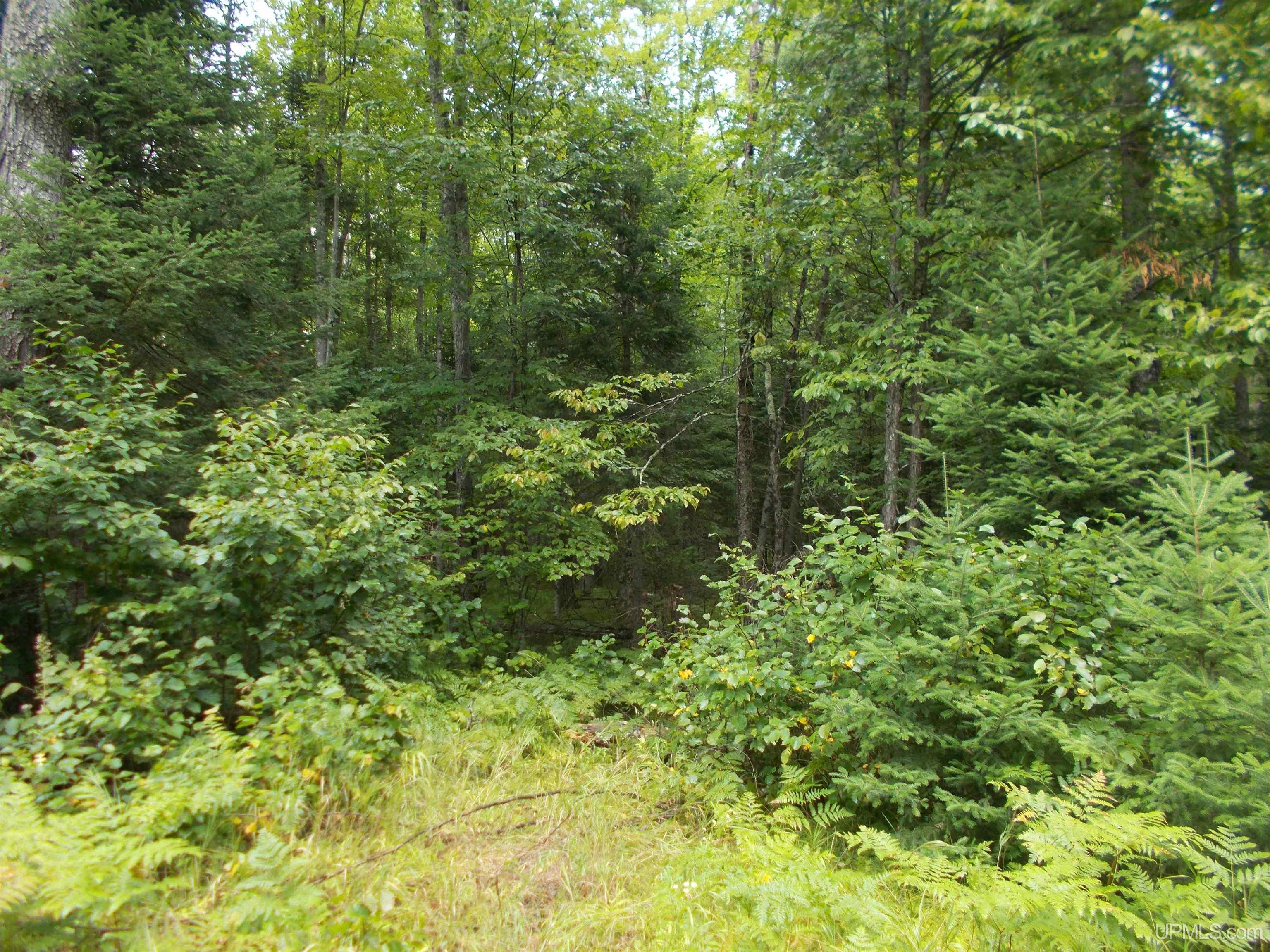 T-wi Turtle Creek Road Florence, WI 54121 - Photo 5 of 10