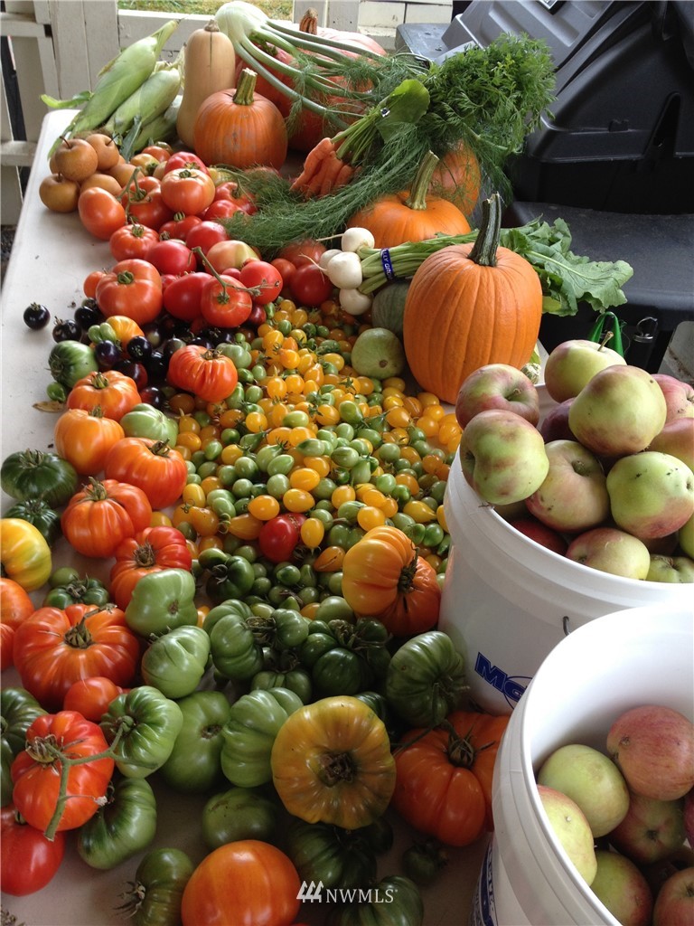 9222 12th Avenue Southwest Seattle, WA 98106 - Photo 26 of 30 a store room filled with lots of fruit and vegetables