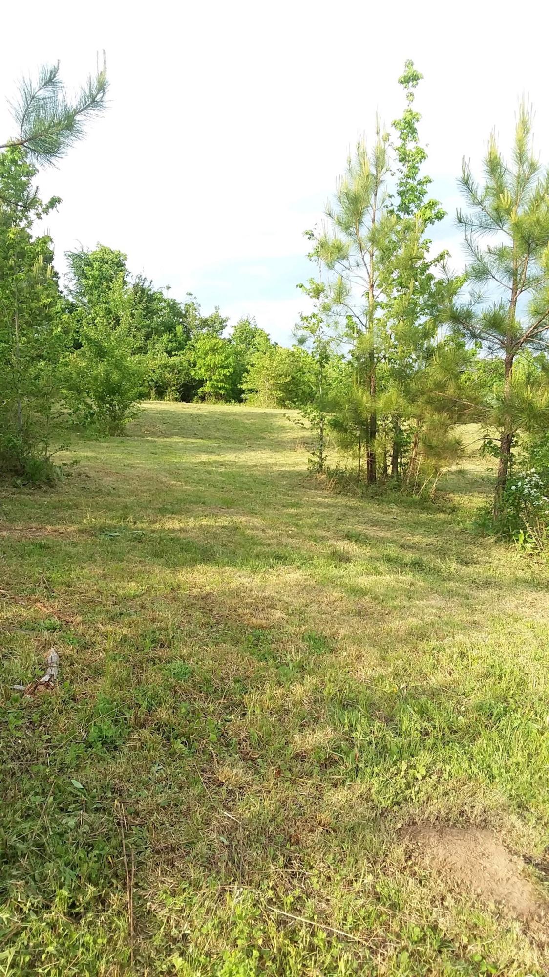687 Baker Bridge Road Northeast Charleston, TN 37310 - Photo 4 of 4 Baker Bridge Rd4