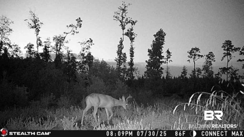 0 County Road 112 Robertsdale, AL 36567 - Photo 6 of 33 View of mountain backdrop
