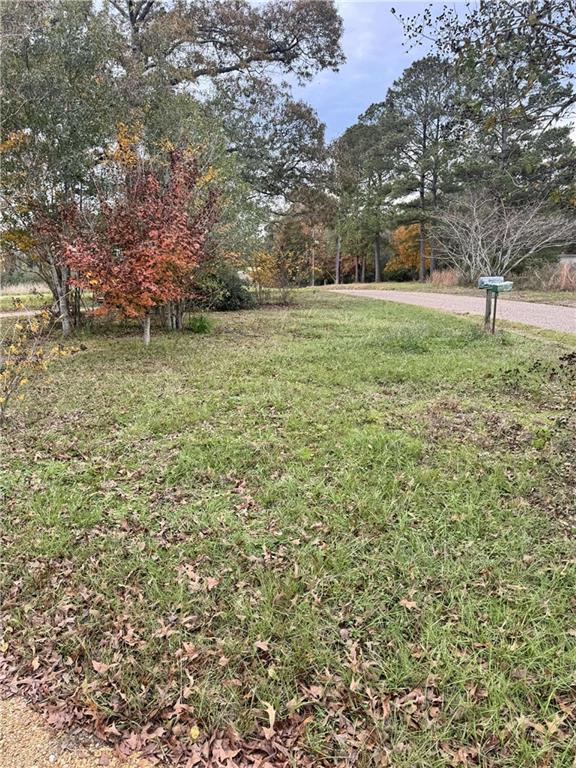 19690 Cutrer Road Kentwood, LA 70444 - Photo 4 of 17 Gallery Image 4