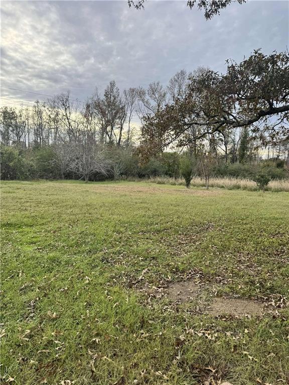 19690 Cutrer Road Kentwood, LA 70444 - Photo 10 of 17 Gallery Image 10