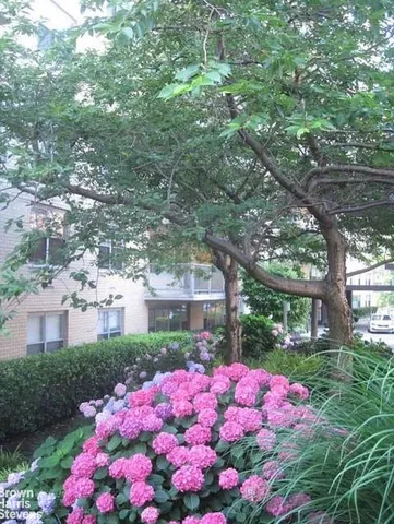 a pink flowers in front of the house