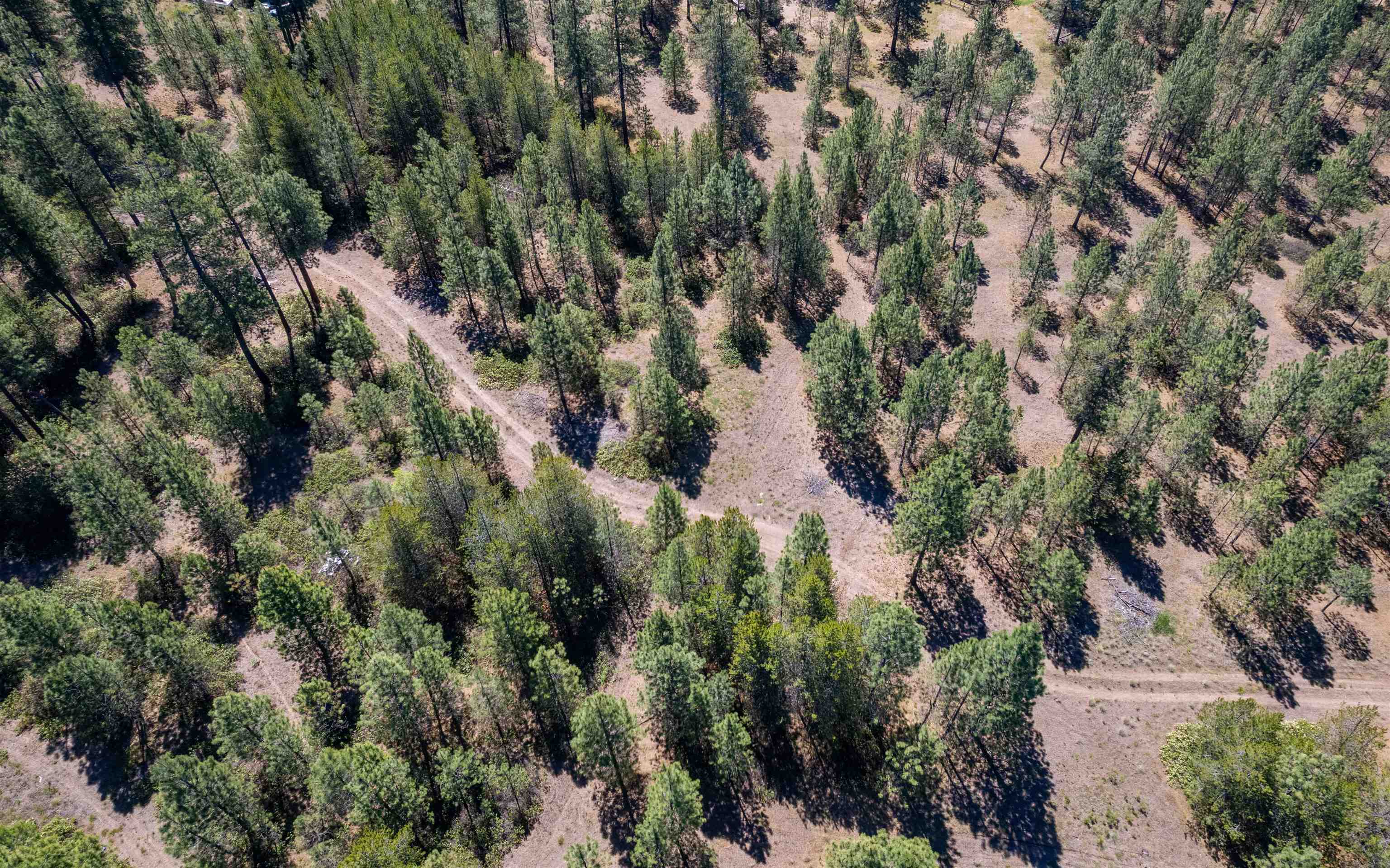 29-xxx North Hardesty Road Chattaroy, WA 99003 - Photo 29 of 40