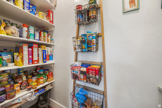 357 South 320 W Street Lindon, UT 84042 - Photo 7 of 41 Built-in pantry shelving and a wall-mounted ladder rack with wire baskets provide ample storage solutions