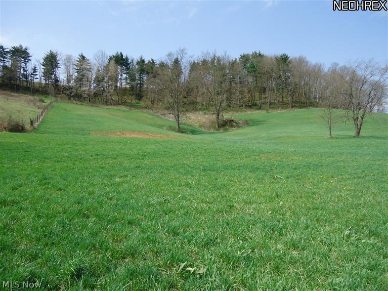 Southwest Stonecreek Road Newcomerstown, OH 43832 - Photo 3 of 3 Gallery Image 3